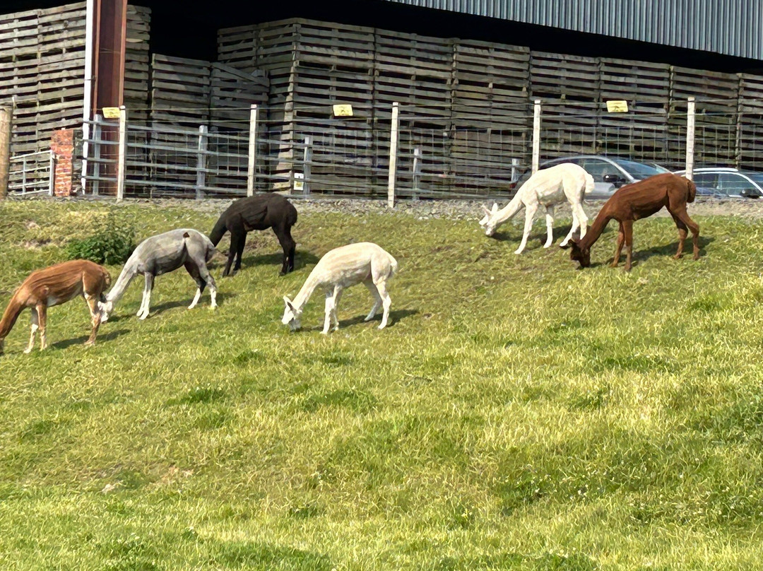 The Farm at Wellsgreen