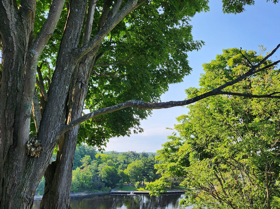 Inn at the Falls主图