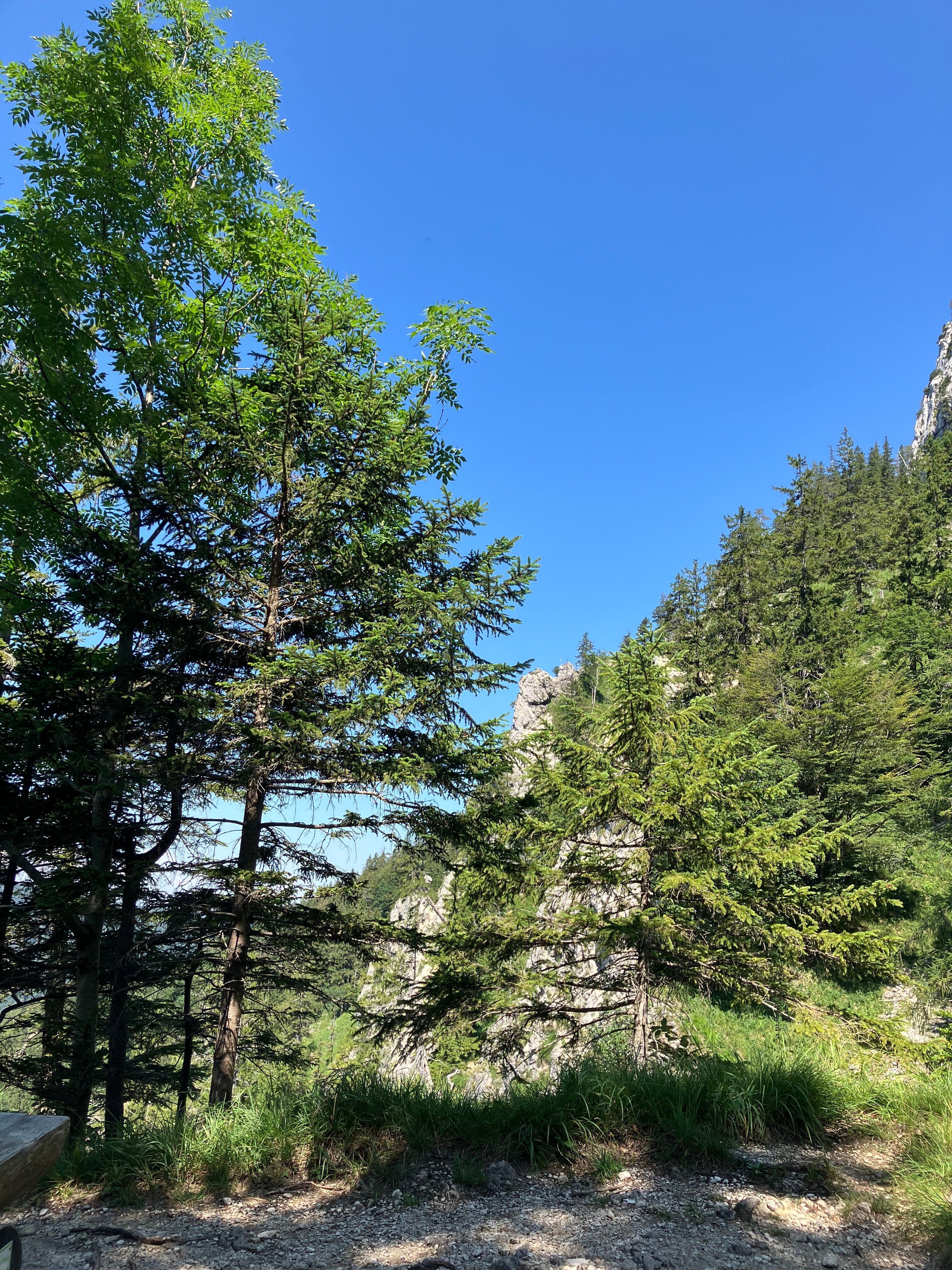 Aktivhotel Fottinger-官方