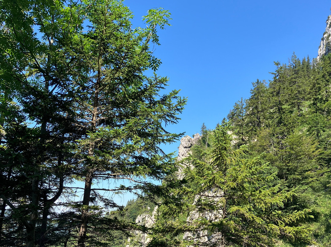 Aktivhotel Fottinger主图