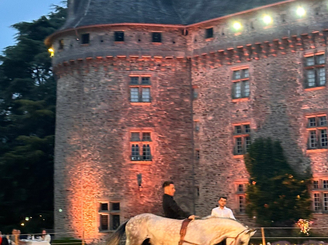 Château de Pompadour景点图片