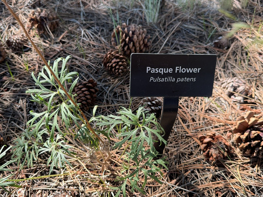 Florissant Fossil Beds National Monument-Florissant必去景点