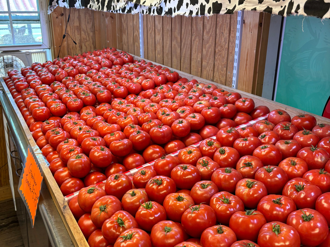 Farmer Joe's Gardens-沃灵福德必去景点
