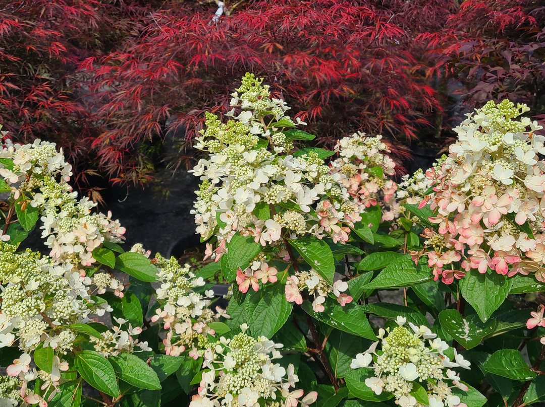 Valley View Farms-Cockeysville Hunt Valley必去景点