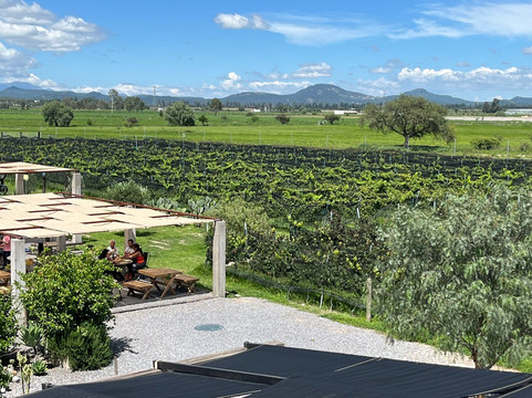 Bocanegra Cava de Quesos-Tequisquiapan必去景点
