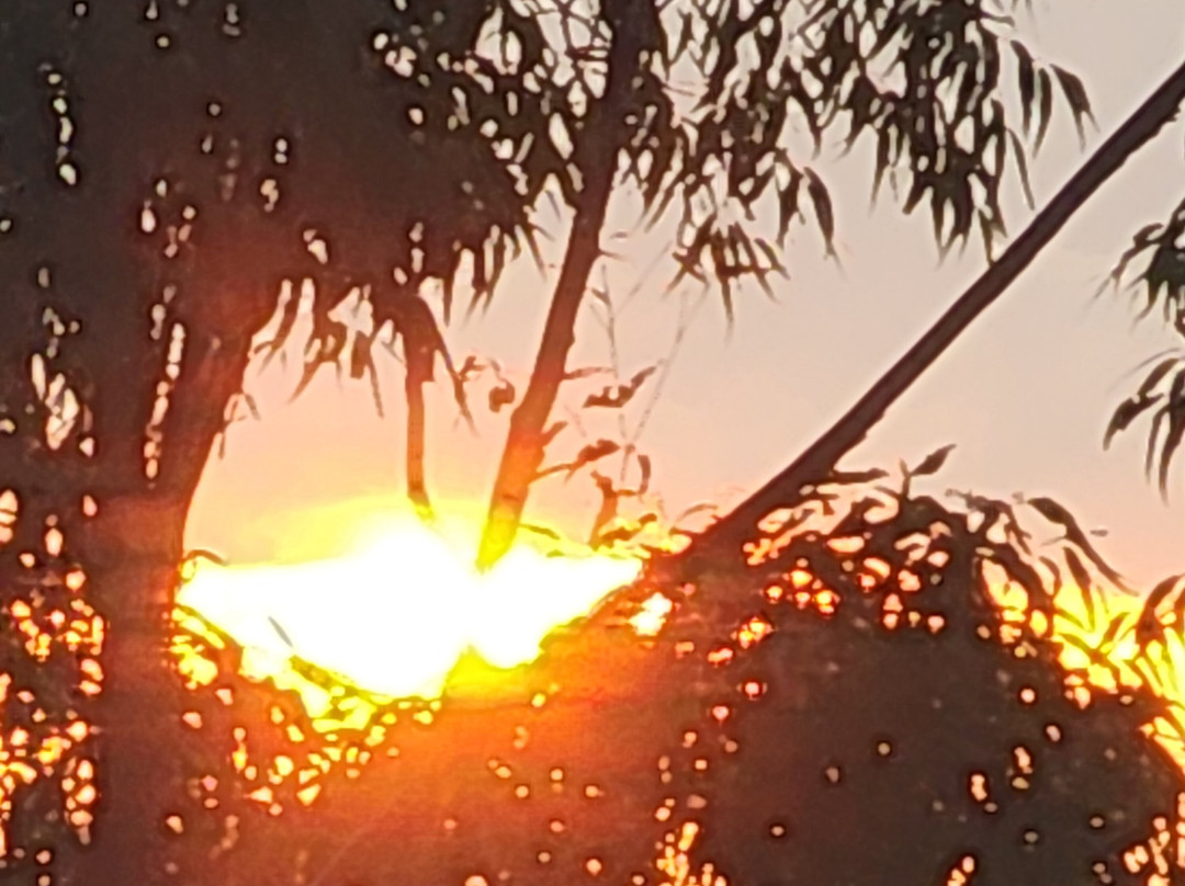 Sky Island Studios主图