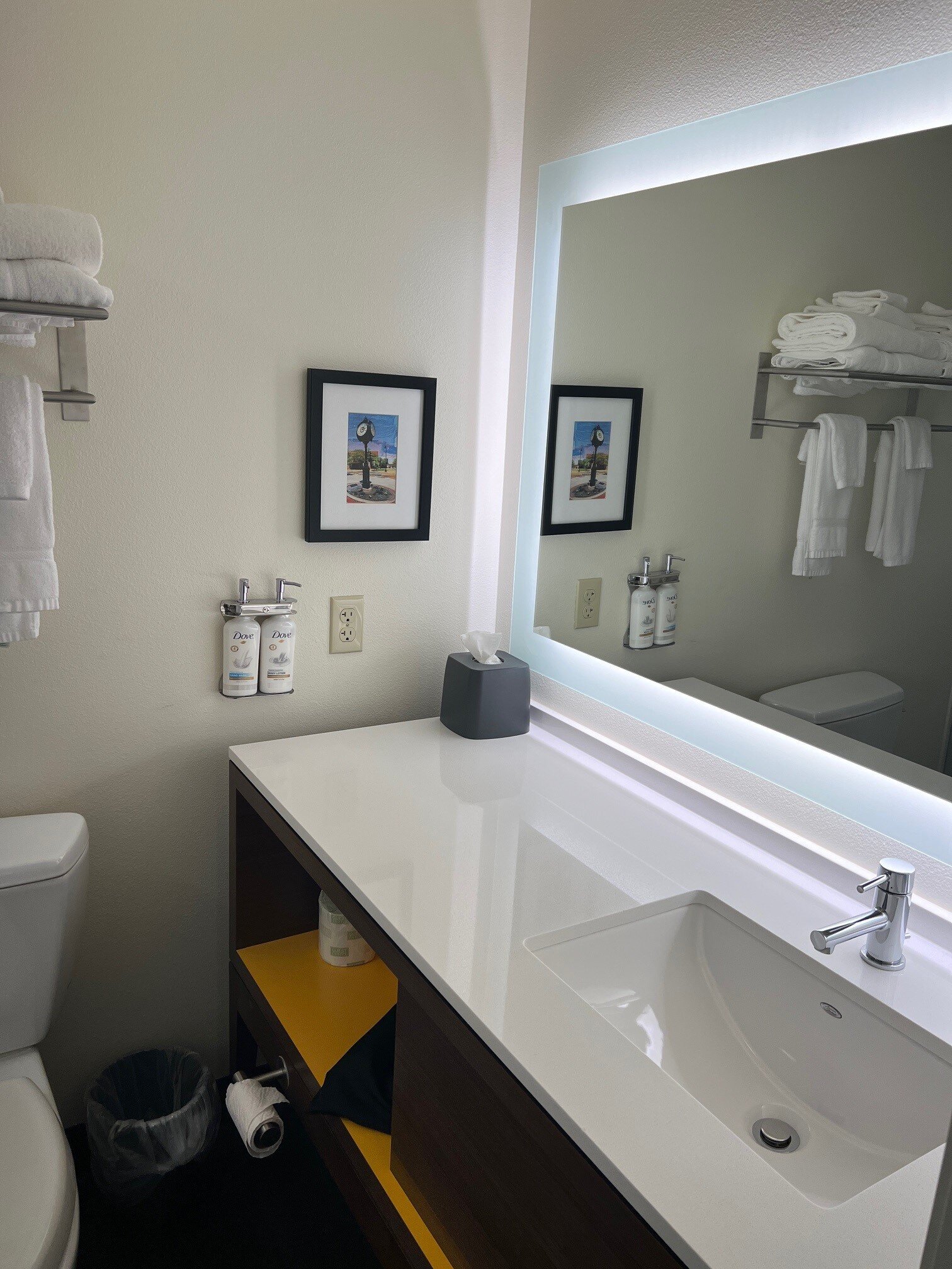 Holiday Inn Appleton By IHG-浴室