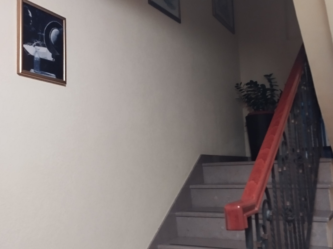 Montenegrino Hotel主图