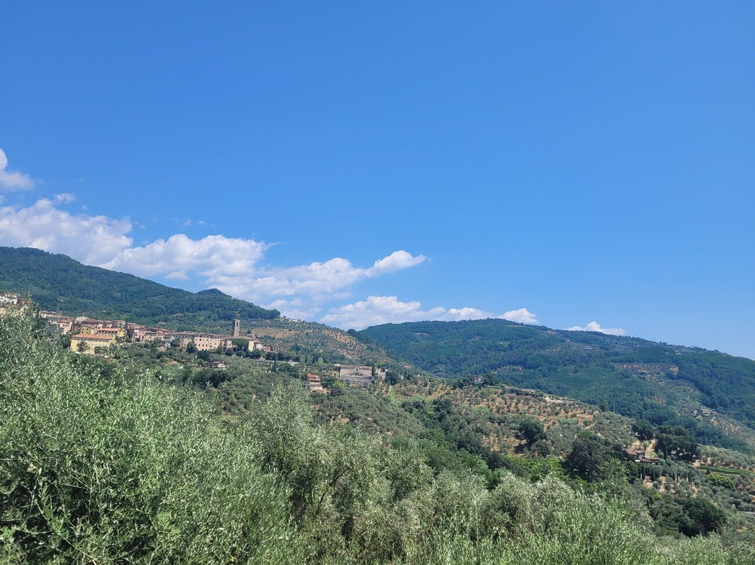 I Sette Borghi B&B主图
