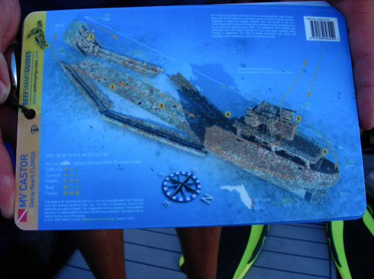 Scubatyme Scuba Charters-庞帕诺比奇必去景点