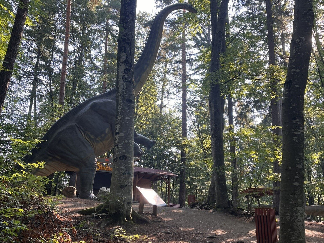 Dino Parc景点图片