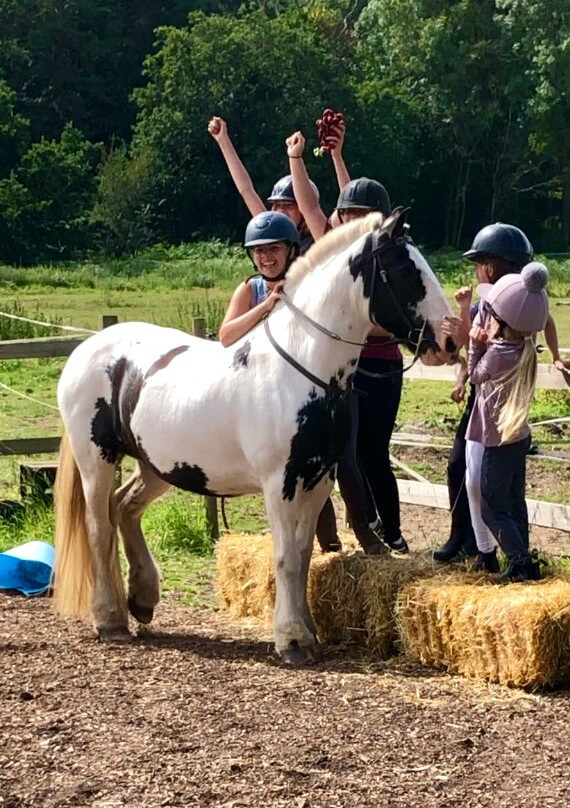 Pony Trekking Thetford Forest-Brandon必去景点