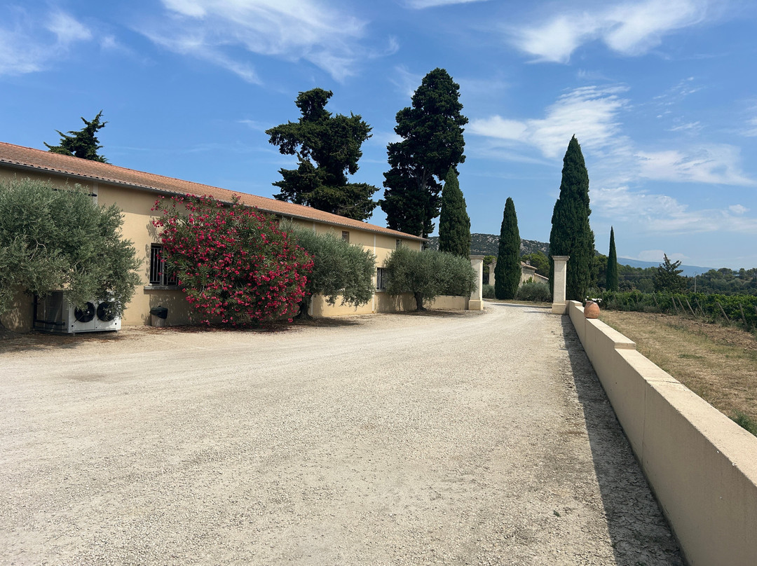Domaine la Ligière Winery景点图片
