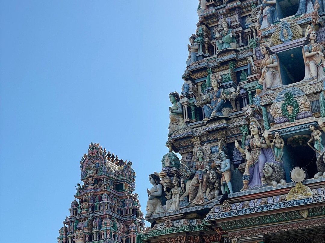 Visit Sri Lanka Transfers景点图片