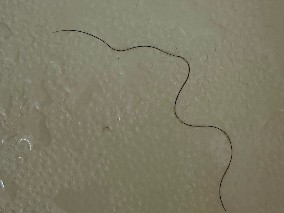 Hampton Inn & Suites Fremont主图