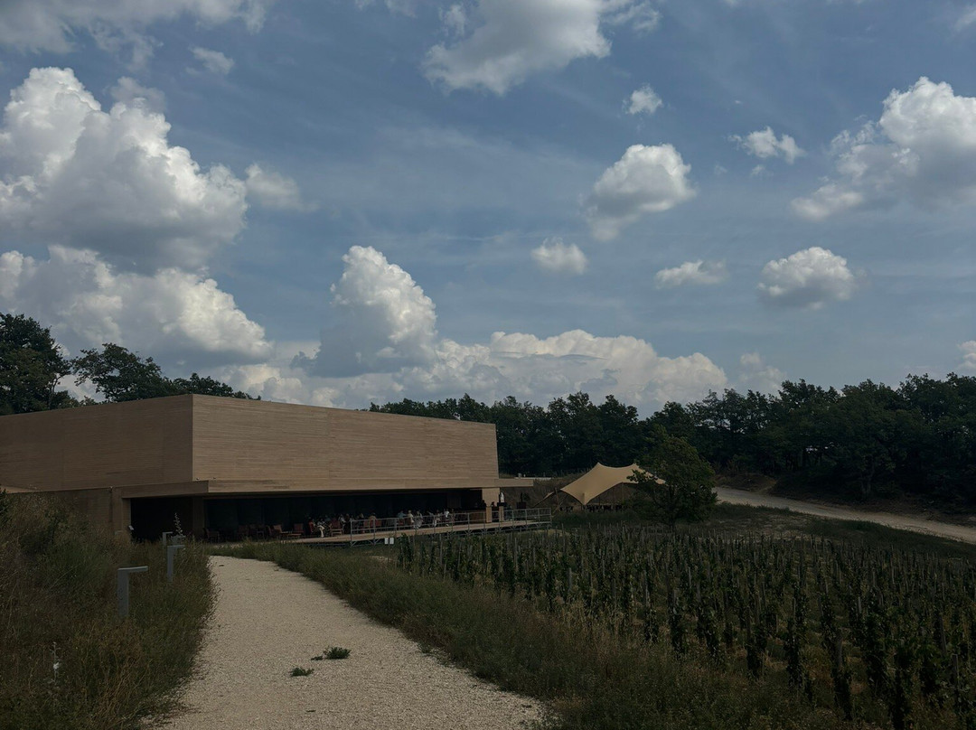 Les Davids景点图片