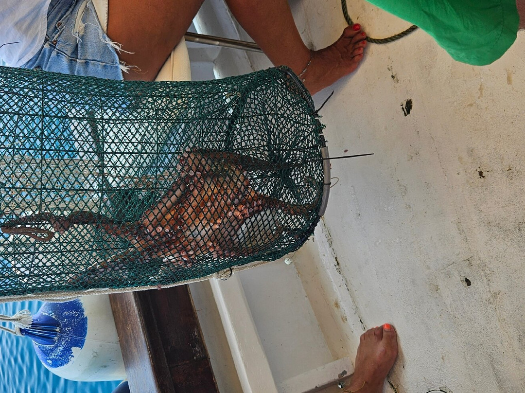 Pesca Turismo Asinara Orsa Maggiore-斯廷蒂诺必去景点