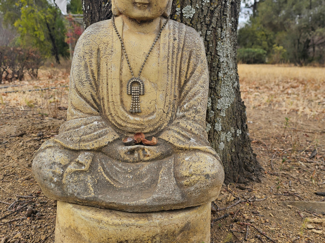 Quiet Mountain Country House主图