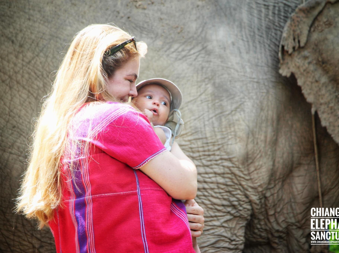Chiangmai Elephant Sanctuary-清迈必去景点