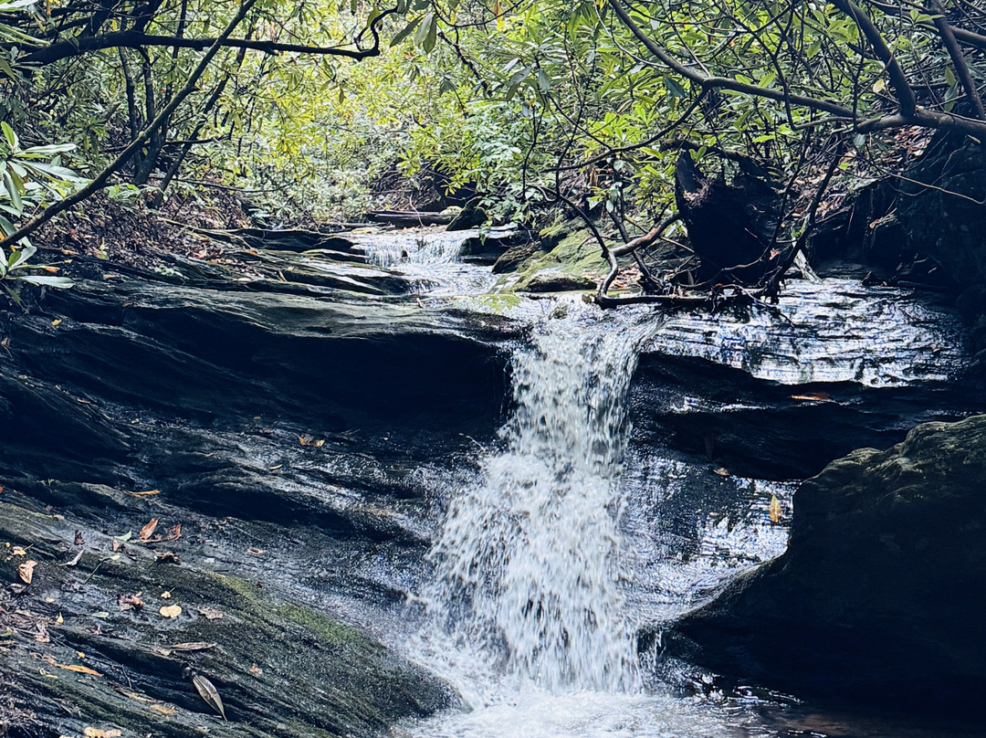 Fiddler's Roost Bed & Breakfast Cabins主图