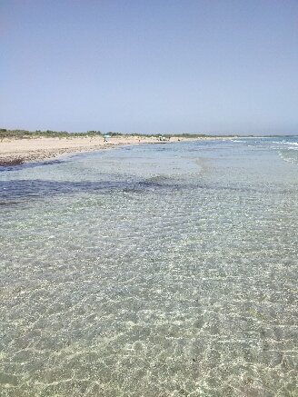 Spiaggia di San Lorenzo景点图片