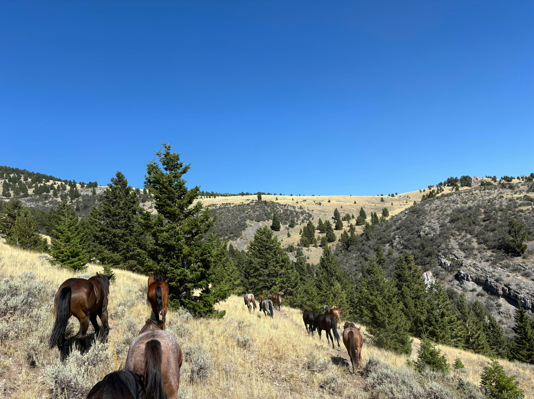 Silver Spur Ranch Idaho景点图片