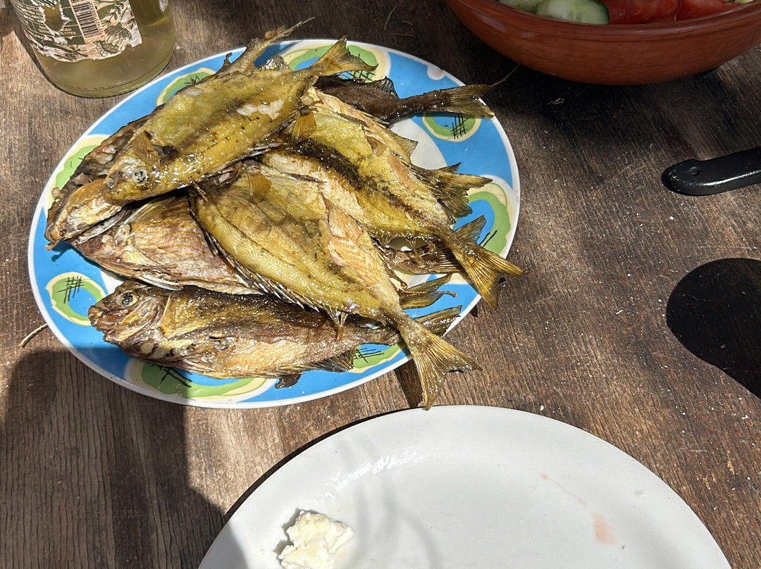 Fish & Fun With Nikos