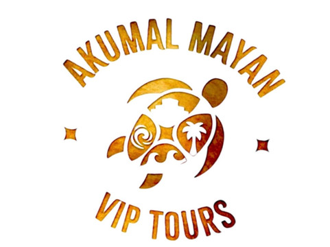 Akumal Mayan Vip Tours-艾库玛尔必去景点