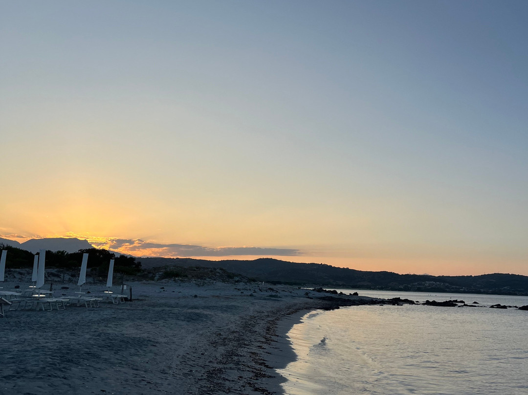 Duna Gourmet Pizza主图