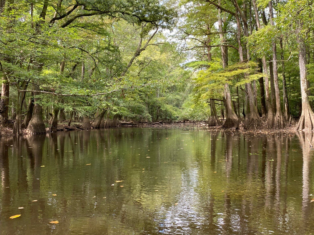 Palmetto Outdoor-West Columbia必去景点