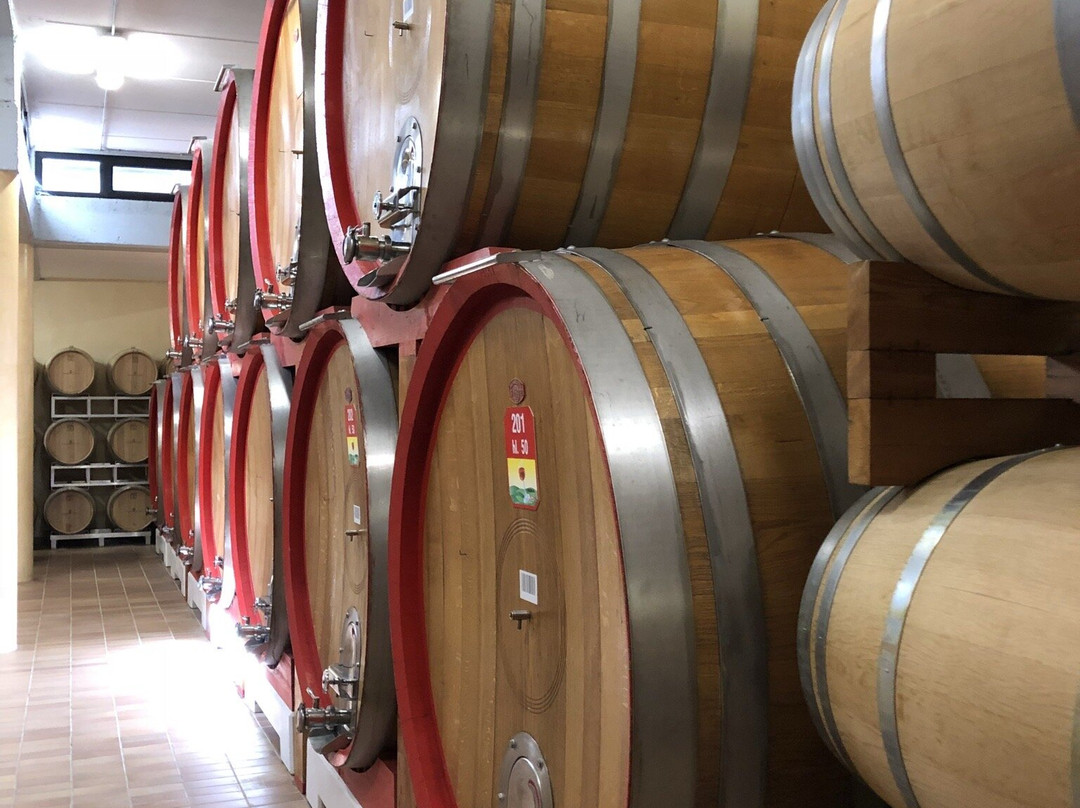Cantina Valpolicella Negrar景点图片