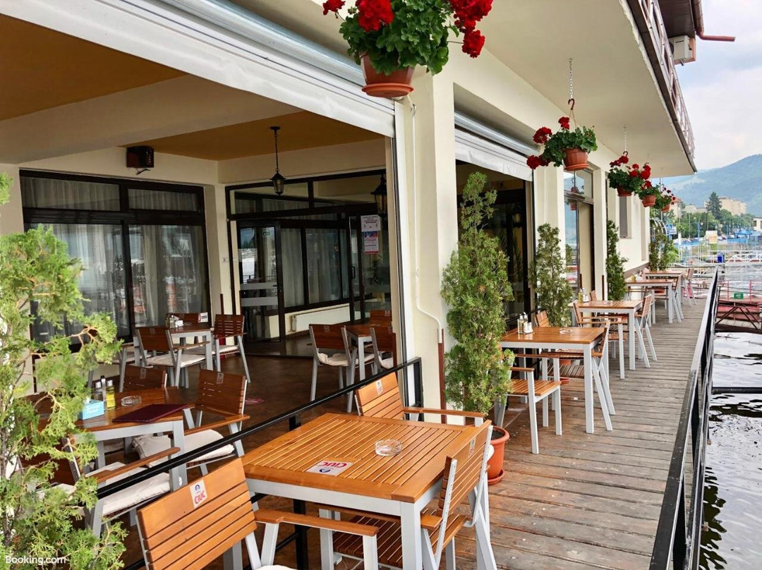 Pensiunea Damiro主图