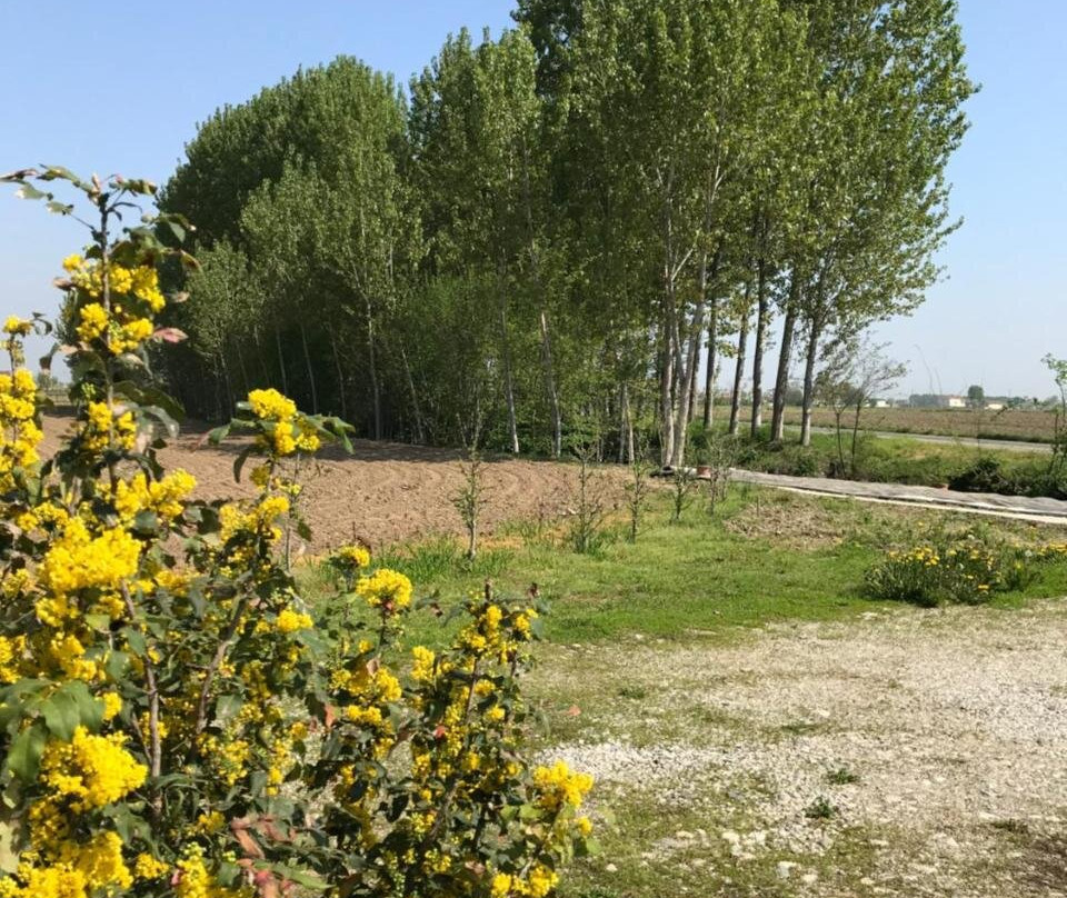 B&B Cascina Garaita主图