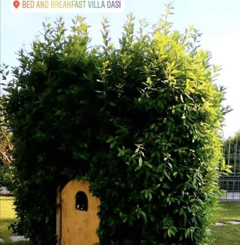 Villa Oasi主图