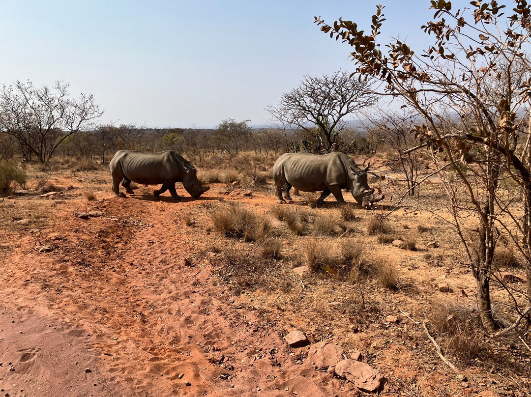Welgevonden Nature Reserve-瓦尔沃特必去景点