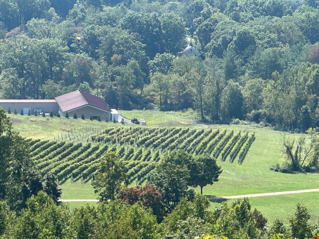 Hazy Mountain Vineyard & Brewery-Afton必去景点