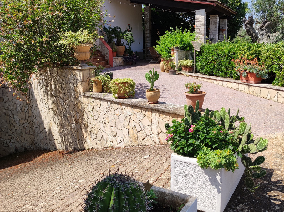 Contrada Macchia B&b主图