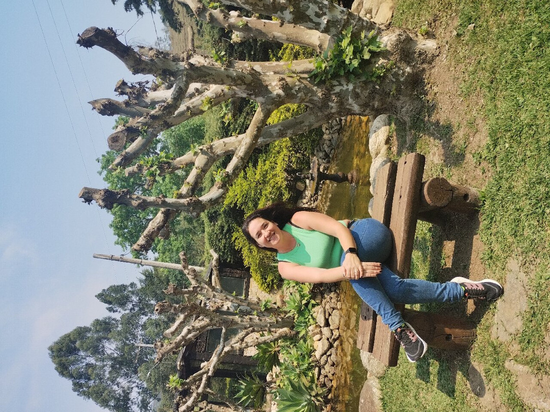 A Bodega-圣安东尼奥杜皮尼亚尔必去景点