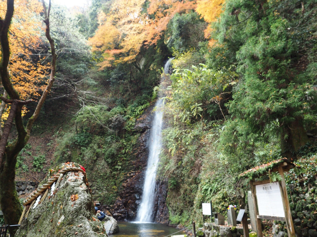 Yoro no Taki Falls-养老町必去景点