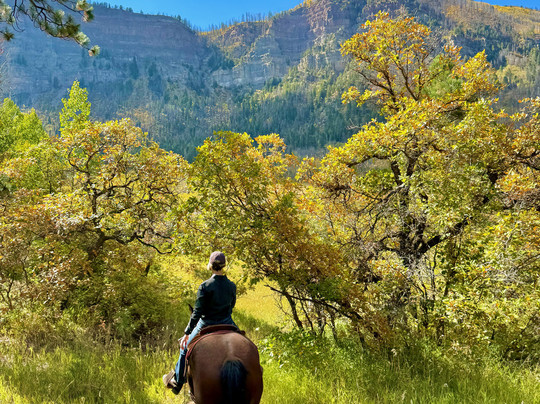 Bears Ranch-杜兰戈必去景点