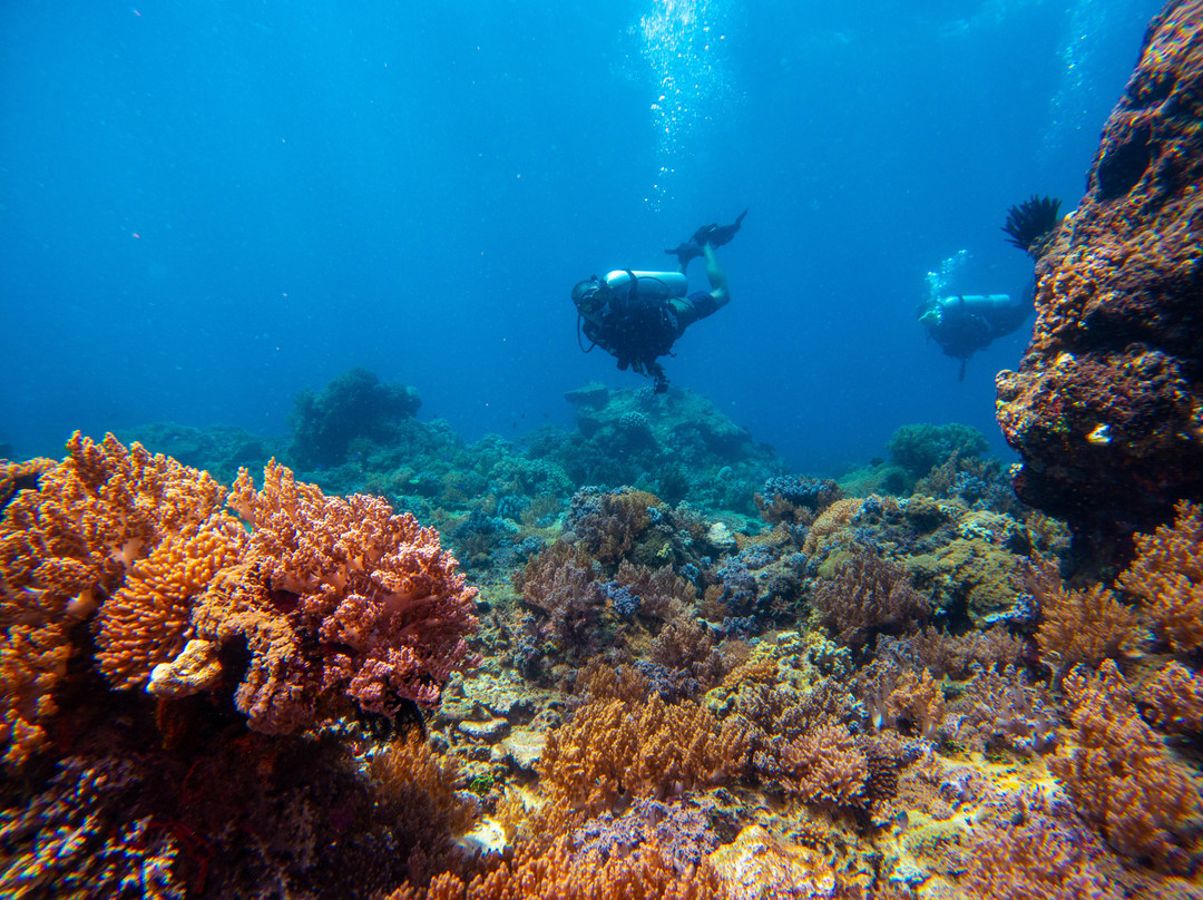 Blow Bubbles Divers-Desa Sekotong Barat必去景点