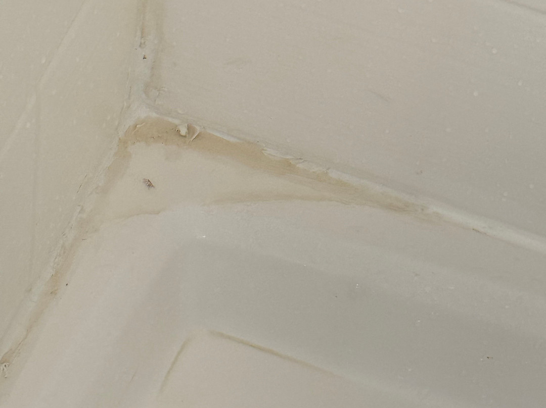 Holiday Inn Express & Suites Raton by IHG主图