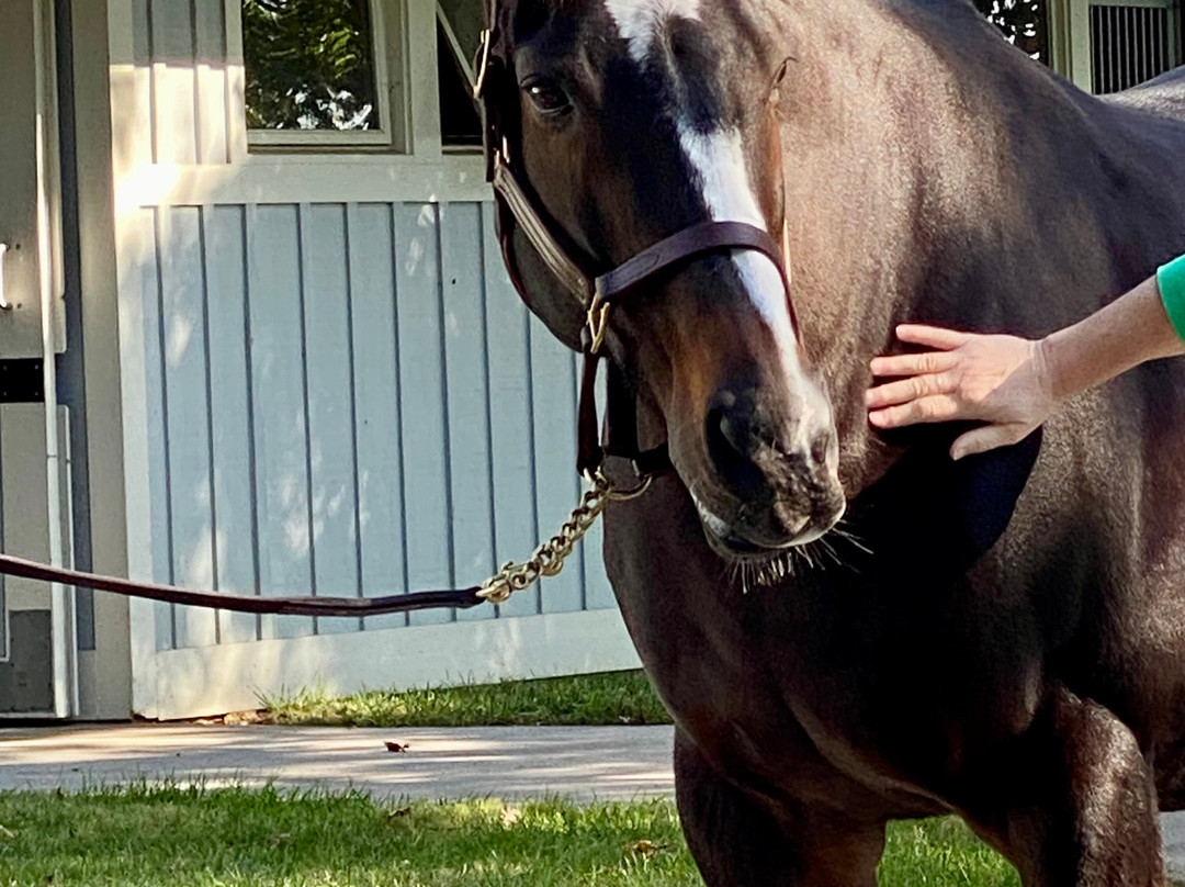 Stonestreet Farm-列克星敦必去景点