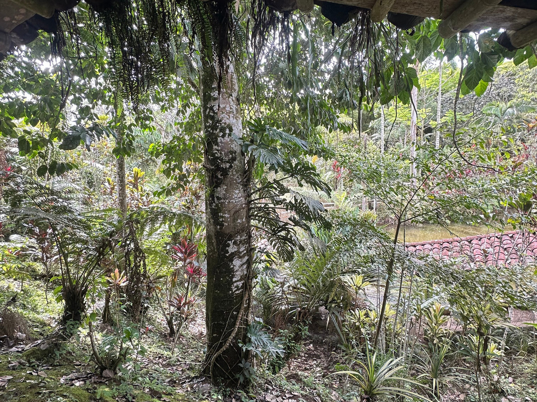 Eco Hotel Los Lagos主图