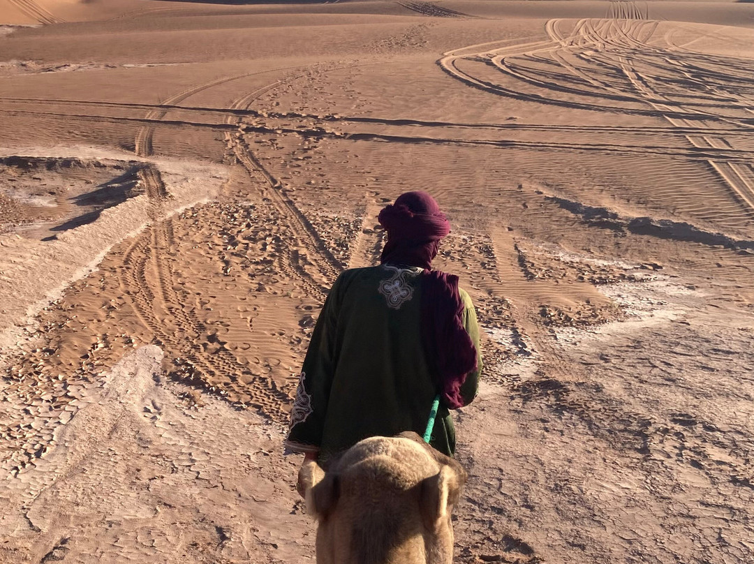 Sahara Unlimited Morocco Tours-马拉喀什必去景点