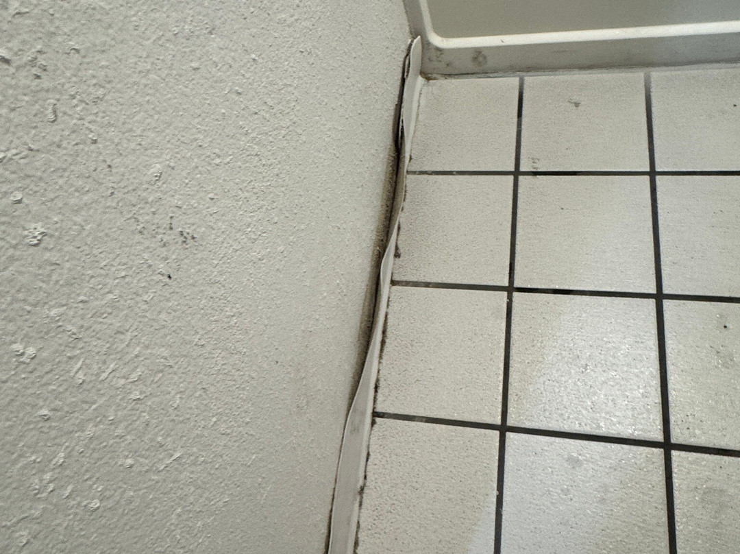 Rodeway Inn & Suites主图