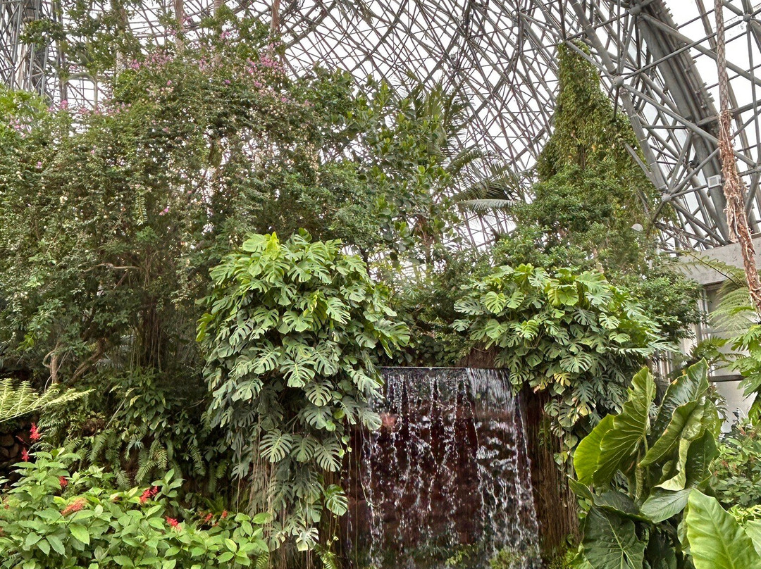 梦之岛热带植物室-江东区必去景点