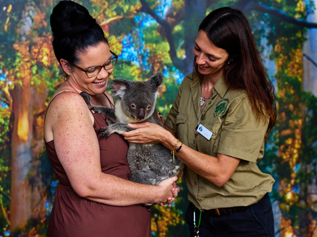 Cairns Koalas & Creatures