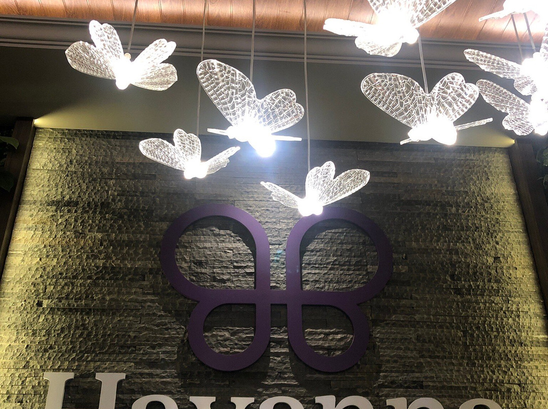 Havanna Reflexology Malang景点图片