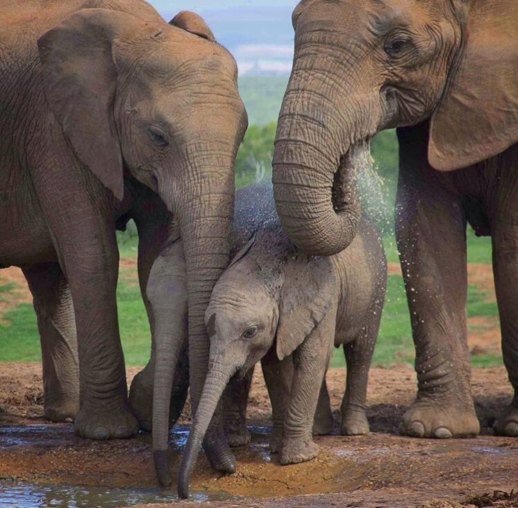 Msandile River Lodge主图
